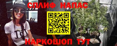 индика Ливны