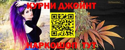 индика Ливны