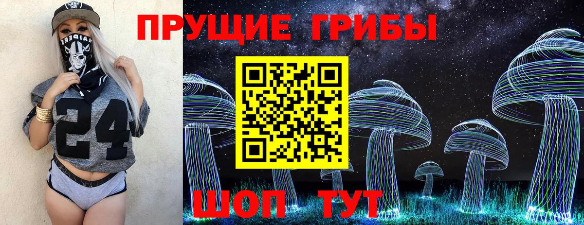Тобольск  Псилоцибиновые грибы Psilocybe  Вход с VPN  Псилоцибиновые грибы мухоморы 