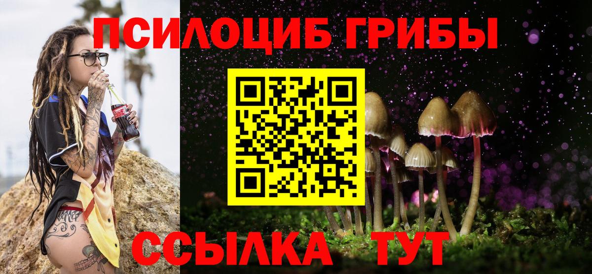 Галлюциногенные грибы мухоморы Тобольск
